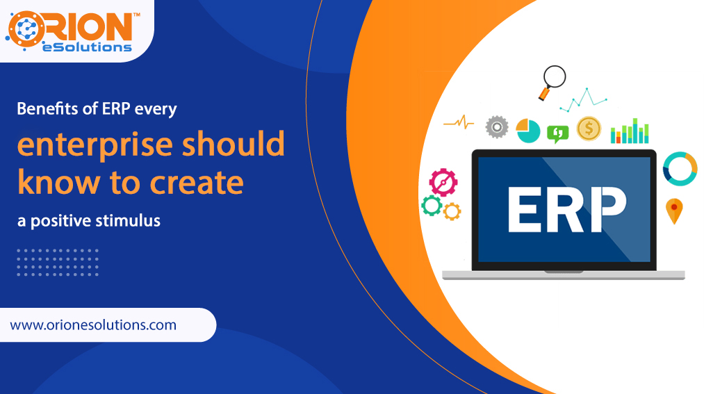 ERP software development