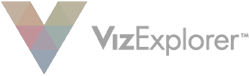 Viz-logo-white