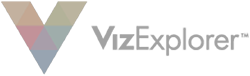 Viz-logo-white-1.png
