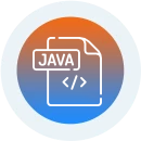 Custom Java Web Development