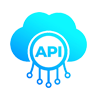 API Integration